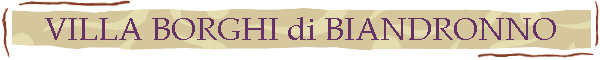 VILLA BORGHI di BIANDRONNO